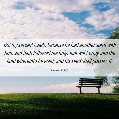 Picture 06 - Numbers 14:24 KJV - But my servant Caleb, because he had another - Bible Verse Picture