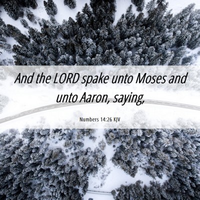 Picture 06 - Numbers 14:26 KJV - And the LORD spake unto Moses and unto Aaron, - Bible Verse Picture