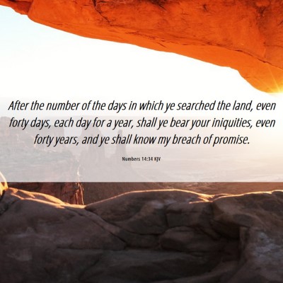 Picture 06 - Numbers 14:34 KJV - After the number of the days in which ye searched - Bible Verse Picture