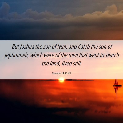 Picture 06 - Numbers 14:38 KJV - But Joshua the son of Nun, and Caleb the son of - Bible Verse Picture