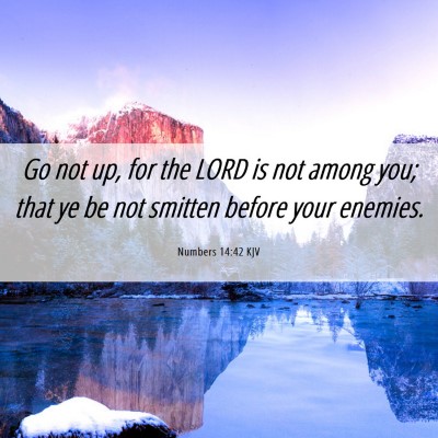 Picture 06 - Numbers 14:42 KJV - Go not up, for the LORD is not among you; that ye - Bible Verse Picture