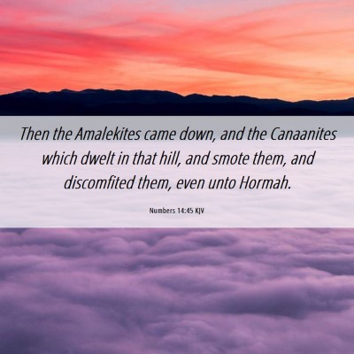 Picture 06 - Numbers 14:45 KJV - Then the Amalekites came down, and the Canaanites - Bible Verse Picture