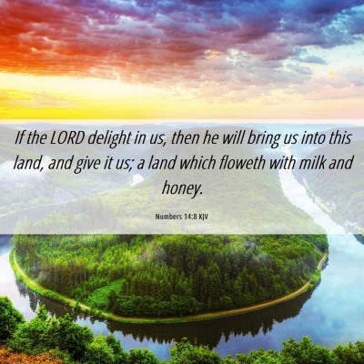 Picture 06 - Numbers 14:8 KJV - If the LORD delight in us, then he will bring us - Bible Verse Picture