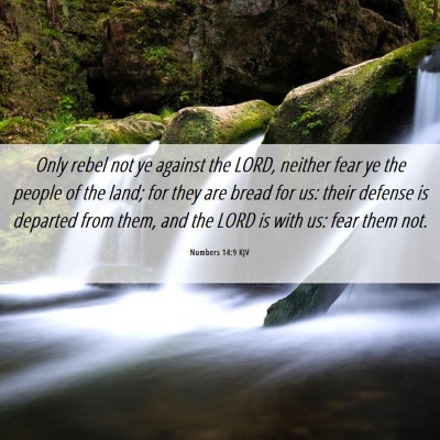 Picture 06 - Numbers 14:9 KJV - Only rebel not ye against the LORD, neither fear - Bible Verse Picture