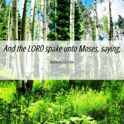 Picture 06 - Numbers 15:1 KJV - And the LORD spake unto Moses, - Bible Verse Picture