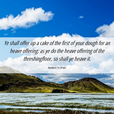 Picture 06 - Numbers 15:20 KJV - Ye shall offer up a cake of the first of your - Bible Verse Picture