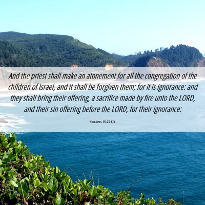 Picture 06 - Numbers 15:25 KJV - And the priest shall make an atonement for all - Bible Verse Picture