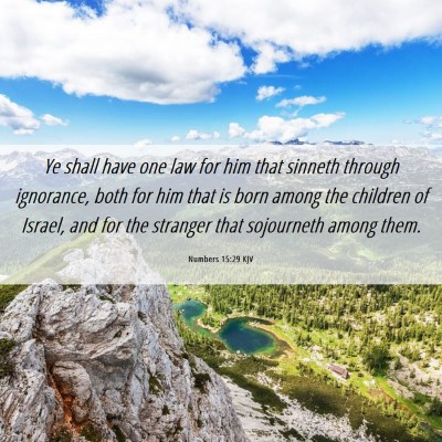 Picture 06 - Numbers 15:29 KJV - Ye shall have one law for him that sinneth - Bible Verse Picture