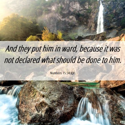 Picture 06 - Numbers 15:34 KJV - And they put him in ward, because it was not - Bible Verse Picture