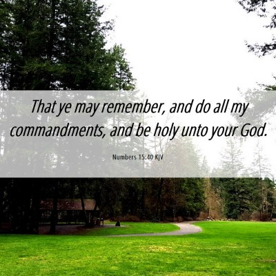 Picture 06 - Numbers 15:40 KJV - That ye may remember, and do all my commandments, - Bible Verse Picture