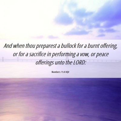 Picture 06 - Numbers 15:8 KJV - And when thou preparest a bullock for a burnt - Bible Verse Picture