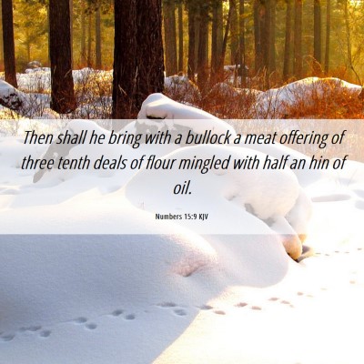 Picture 06 - Numbers 15:9 KJV - Then shall he bring with a bullock a meat - Bible Verse Picture
