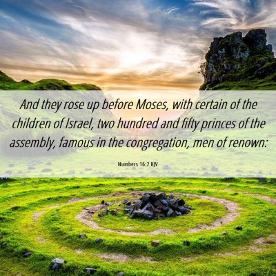 Picture 06 - Numbers 16:2 KJV - And they rose up before Moses, with certain of - Bible Verse Picture