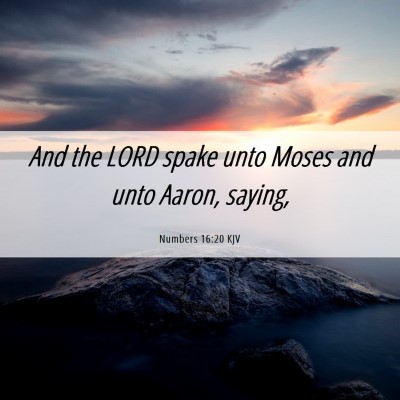 Picture 06 - Numbers 16:20 KJV - And the LORD spake unto Moses and unto Aaron, - Bible Verse Picture