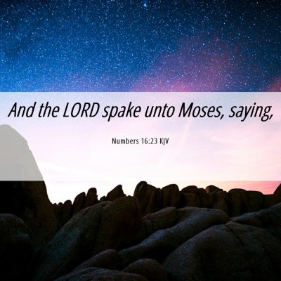 Picture 06 - Numbers 16:23 KJV - And the LORD spake unto Moses, - Bible Verse Picture