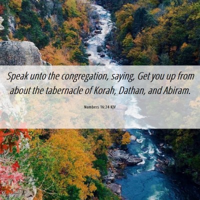 Picture 06 - Numbers 16:24 KJV - Speak unto the congregation, saying, Get you up - Bible Verse Picture
