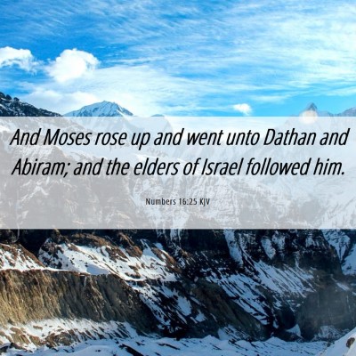 Picture 06 - Numbers 16:25 KJV - And Moses rose up and went unto Dathan and - Bible Verse Picture