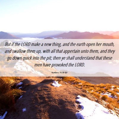 Picture 06 - Numbers 16:30 KJV - But if the LORD make a new thing, and the earth - Bible Verse Picture