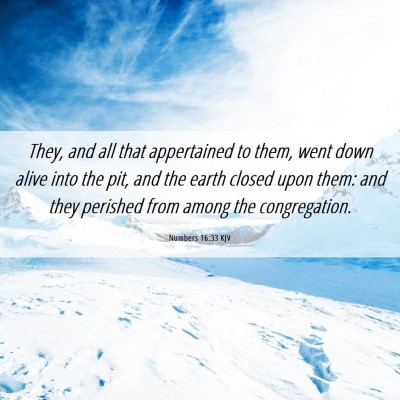 Picture 06 - Numbers 16:33 KJV - They, and all that appertained to them, went down - Bible Verse Picture
