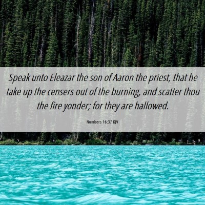 Picture 06 - Numbers 16:37 KJV - Speak unto Eleazar the son of Aaron the priest, - Bible Verse Picture