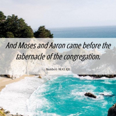 Picture 06 - Numbers 16:43 KJV - And Moses and Aaron came before the tabernacle of - Bible Verse Picture