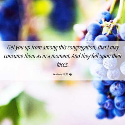 Picture 06 - Numbers 16:45 KJV - Get you up from among this congregation, that I - Bible Verse Picture