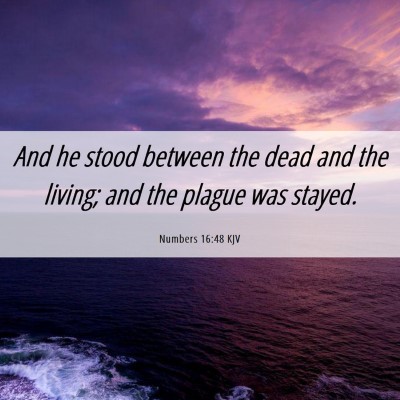 Picture 06 - Numbers 16:48 KJV - And he stood between the dead and the living; and - Bible Verse Picture