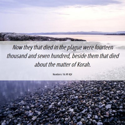 Picture 06 - Numbers 16:49 KJV - Now they that died in the plague were fourteen - Bible Verse Picture