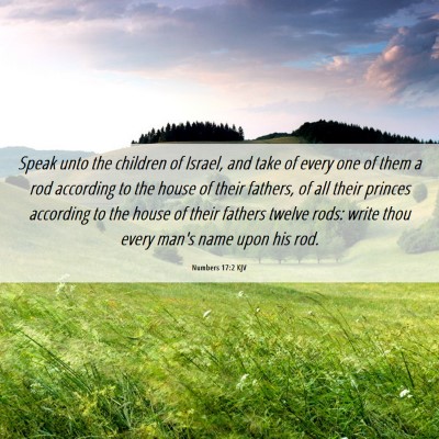 Picture 06 - Numbers 17:2 KJV - Speak unto the children of Israel, and take of - Bible Verse Picture