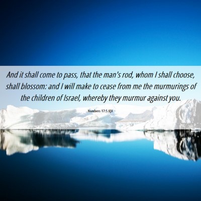 Picture 06 - Numbers 17:5 KJV - And it shall come to pass, that the man's rod, - Bible Verse Picture