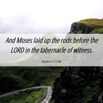 Picture 06 - Numbers 17:7 KJV - And Moses laid up the rods before the LORD in the - Bible Verse Picture