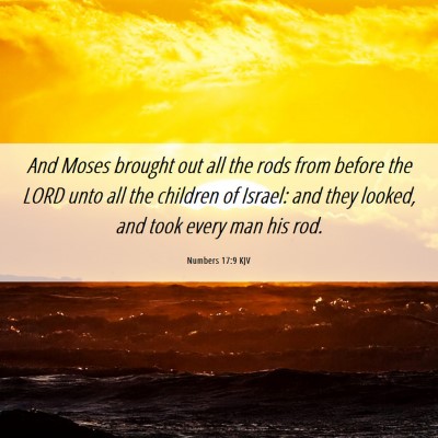 Picture 06 - Numbers 17:9 KJV - And Moses brought out all the rods from before - Bible Verse Picture