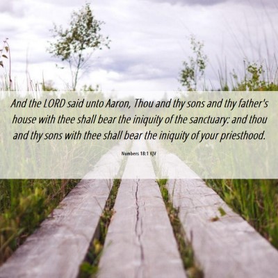 Picture 06 - Numbers 18:1 KJV - And the LORD said unto Aaron, Thou and thy sons - Bible Verse Picture