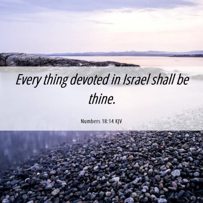 Picture 06 - Numbers 18:14 KJV - Every thing devoted in Israel shall be - Bible Verse Picture