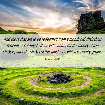Picture 06 - Numbers 18:16 KJV - And those that are to be redeemed from a month - Bible Verse Picture