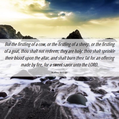 Picture 06 - Numbers 18:17 KJV - But the firstling of a cow, or the firstling of a - Bible Verse Picture