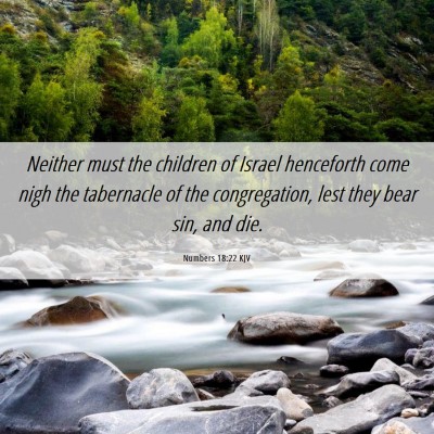Picture 06 - Numbers 18:22 KJV - Neither must the children of Israel henceforth - Bible Verse Picture