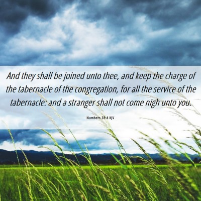 Picture 06 - Numbers 18:4 KJV - And they shall be joined unto thee, and keep the - Bible Verse Picture