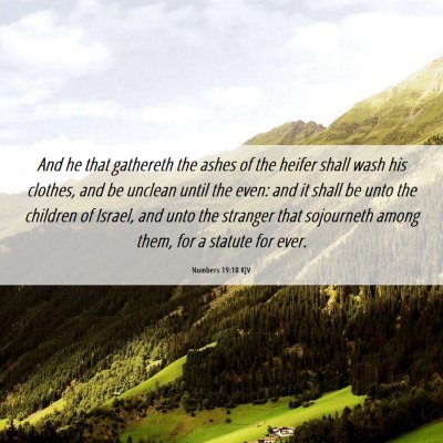 Picture 06 - Numbers 19:10 KJV - And he that gathereth the ashes of the heifer - Bible Verse Picture