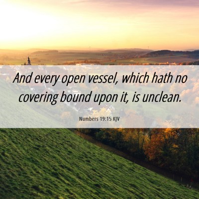 Picture 06 - Numbers 19:15 KJV - And every open vessel, which hath no covering - Bible Verse Picture
