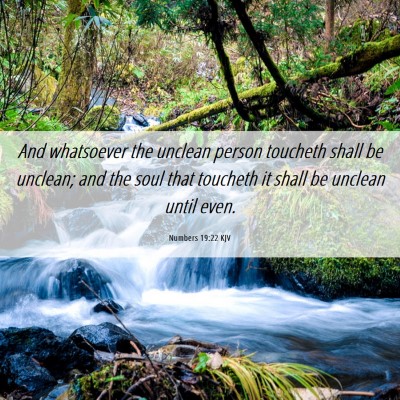 Picture 06 - Numbers 19:22 KJV - And whatsoever the unclean person toucheth shall - Bible Verse Picture