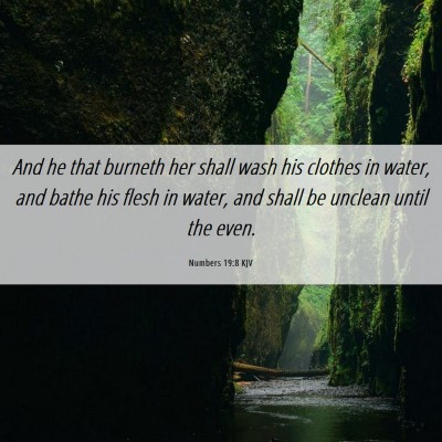 Picture 06 - Numbers 19:8 KJV - And he that burneth her shall wash his clothes in - Bible Verse Picture