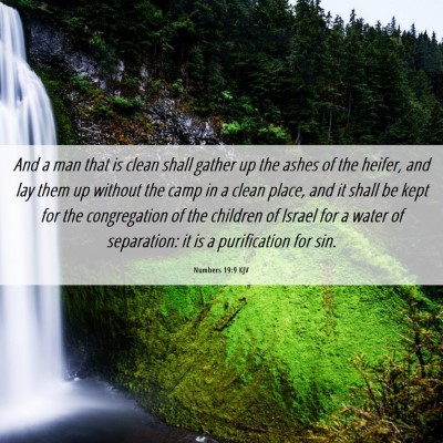 Picture 06 - Numbers 19:9 KJV - And a man that is clean shall gather up the ashes - Bible Verse Picture