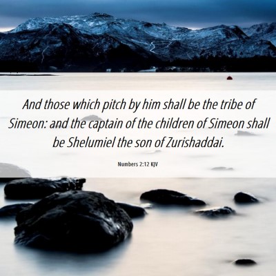 Picture 06 - Numbers 2:12 KJV - And those which pitch by him shall be the tribe - Bible Verse Picture