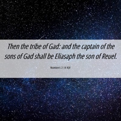 Picture 06 - Numbers 2:14 KJV - Then the tribe of Gad: and the captain of the - Bible Verse Picture