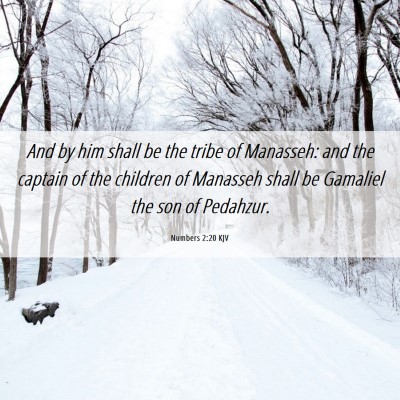 Picture 06 - Numbers 2:20 KJV - And by him shall be the tribe of Manasseh: and - Bible Verse Picture