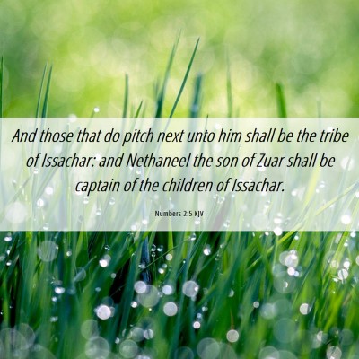 Picture 06 - Numbers 2:5 KJV - And those that do pitch next unto him shall be - Bible Verse Picture