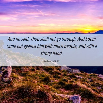 Picture 06 - Numbers 20:20 KJV - And he said, Thou shalt not go through. And Edom - Bible Verse Picture