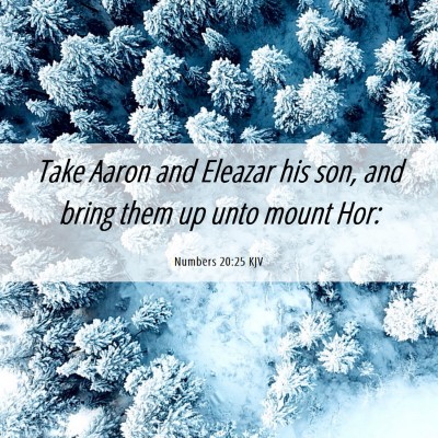 Picture 06 - Numbers 20:25 KJV - Take Aaron and Eleazar his son, and bring them up - Bible Verse Picture