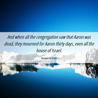 Picture 06 - Numbers 20:29 KJV - And when all the congregation saw that Aaron was - Bible Verse Picture